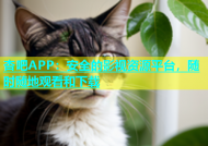 杏吧APP：安全的影视资源平台，随时随地观看和下载
