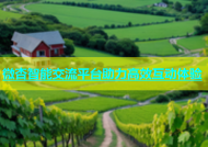 微杏智能交流平台助力高效互动体验