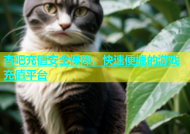 杏吧充值安全保障，快速便捷的游戏充值平台