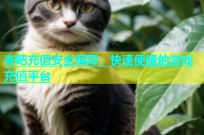 杏吧充值安全保障，快速便捷的游戏充值平台