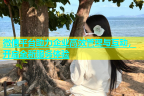 微信平台助力企业高效管理与互动，开启全新服务体验