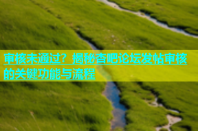 审核未通过？揭秘杏吧论坛发帖审核的关键功能与流程