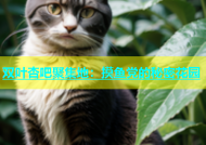 双叶杏吧聚集地：摸鱼党的秘密花园