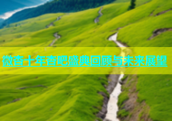 微杏十年杏吧盛典回顾与未来展望