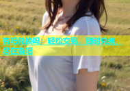 杏吧兑换吗：轻松交易，随时兑换，尽在杏吧