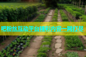 吧粉丝互动平台精彩内容一网打尽