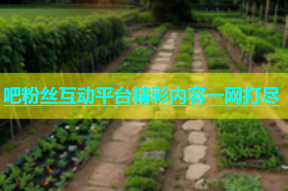 吧粉丝互动平台精彩内容一网打尽
