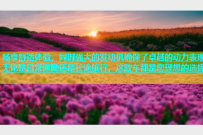 畅享舒适体验，同时强大的发动机确保了卓越的动力表现无论是日常通勤还是长途旅行，这款车都是您理想的选择