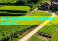 杏吧账号初始密码揭秘：轻松管理你的社交平台