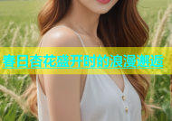 春日杏花盛开时的浪漫邂逅