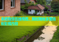 杏吧有你在线观看，随时随地享受精彩影视内容