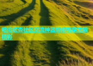 吧论坛杏社区交流神器助你畅享无限精彩