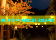 回归杏吧com轻松创业引流首选平台