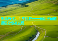 感恩有你，十年陪伴——音乐平台的温暖分享与发现