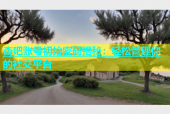 杏吧账号初始密码揭秘：轻松管理你的社交平台