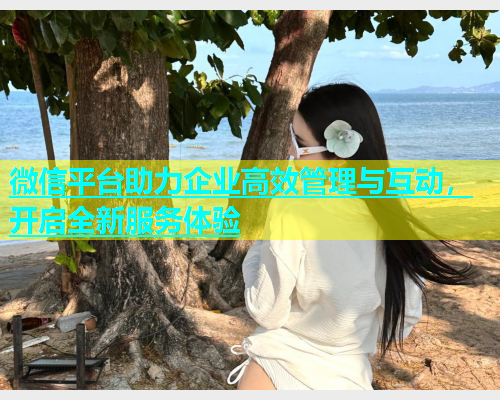 微信平台助力企业高效管理与互动，开启全新服务体验  第1张
