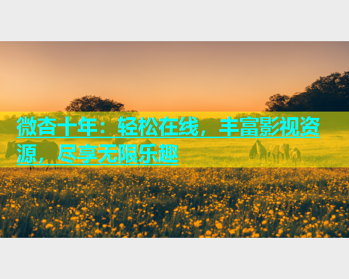 微杏十年：轻松在线，丰富影视资源，尽享无限乐趣  第2张