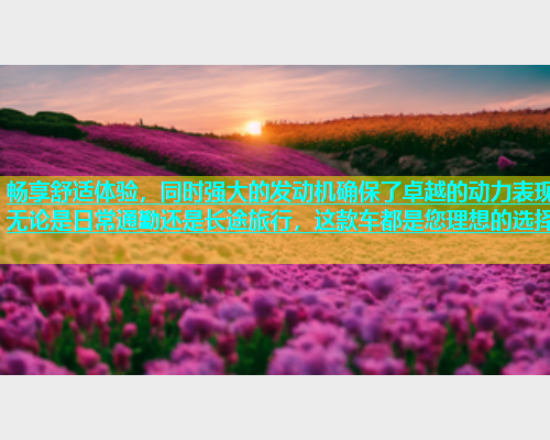 畅享舒适体验，同时强大的发动机确保了卓越的动力表现无论是日常通勤还是长途旅行，这款车都是您理想的选择  第1张