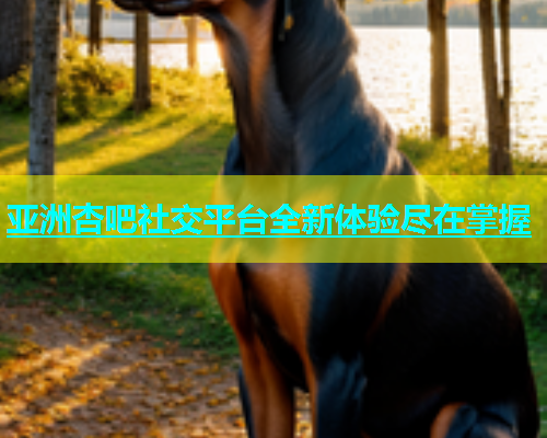 亚洲杏吧社交平台全新体验尽在掌握  第1张