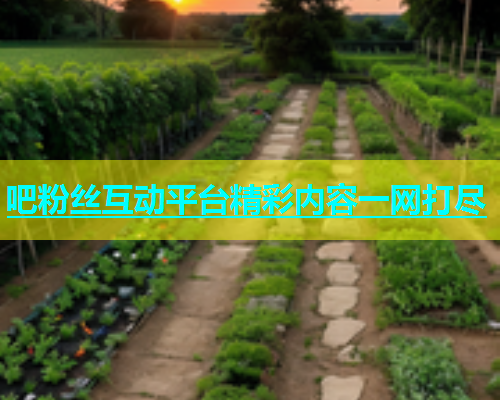 吧粉丝互动平台精彩内容一网打尽  第1张