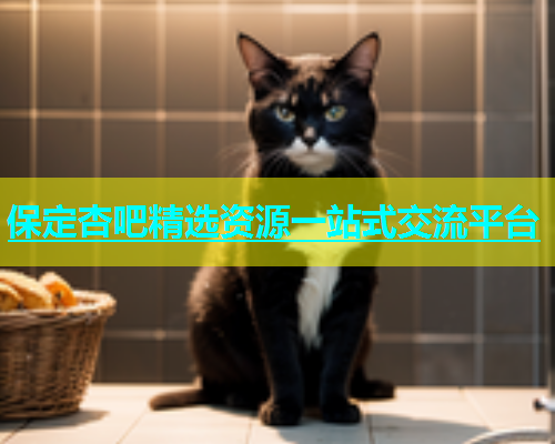 保定杏吧精选资源一站式交流平台  第1张